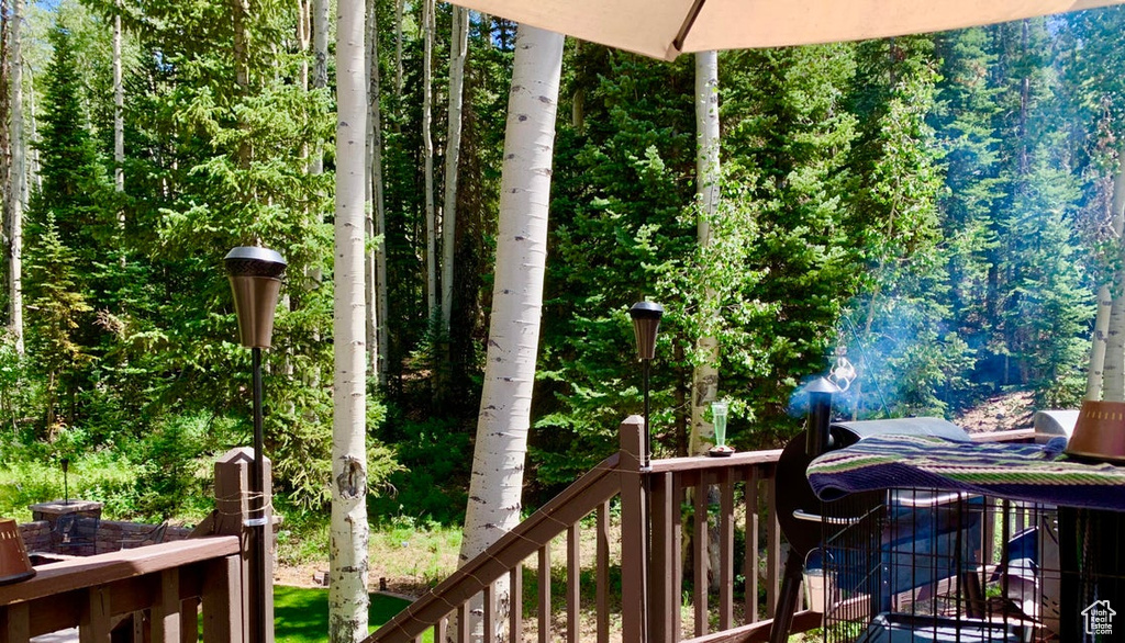 194 E DEER RD Brian Head, UT 84719