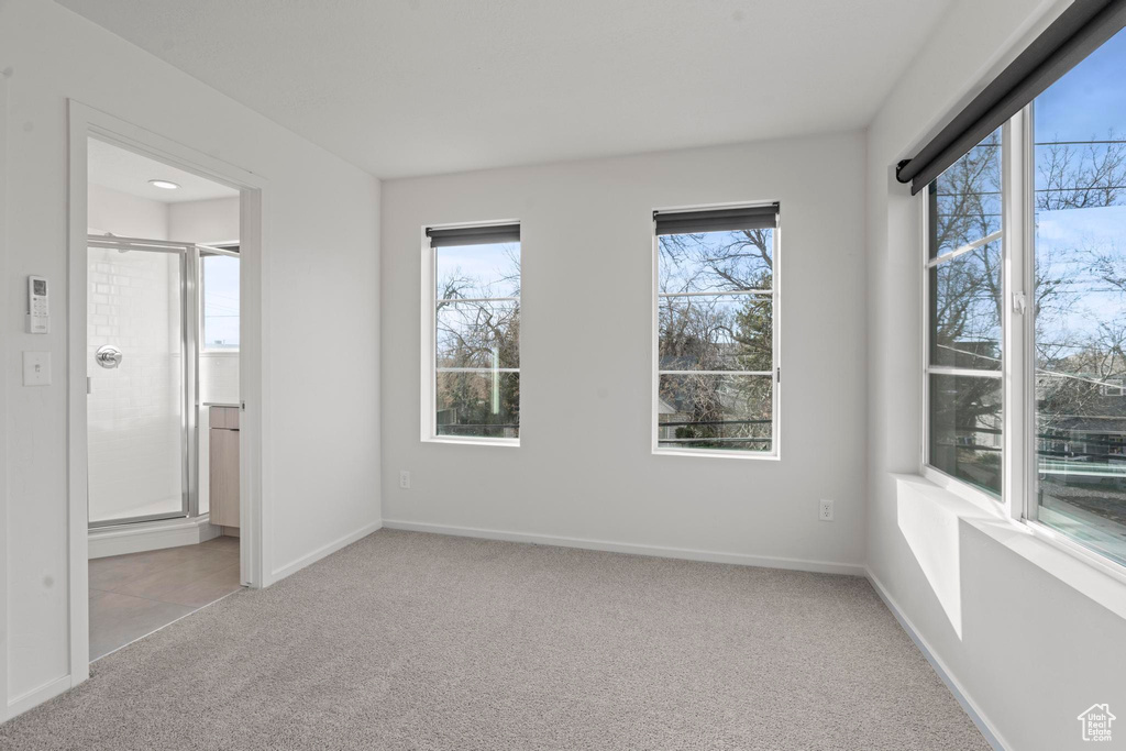 Unfurnished room featuring carpet