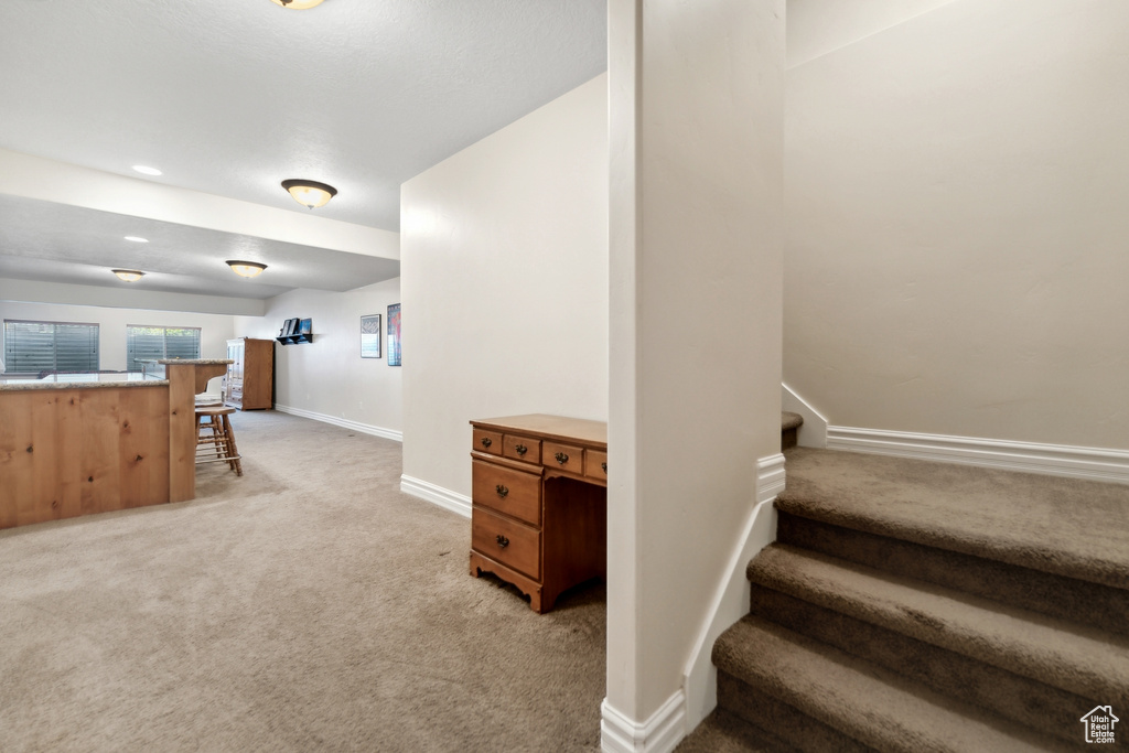 Stairs with light colored carpet