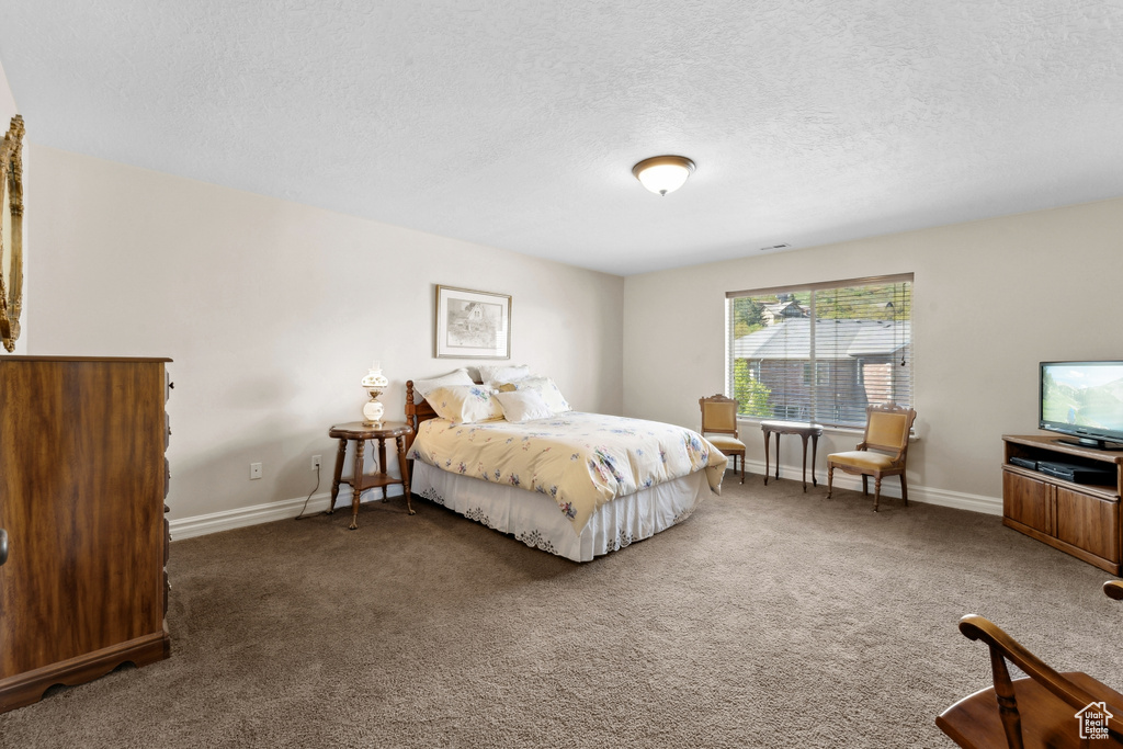 Carpeted bedroom featuring a textured ceiling