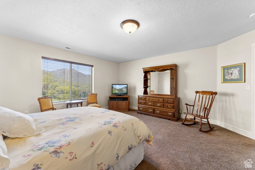 Carpeted bedroom featuring a textured ceiling