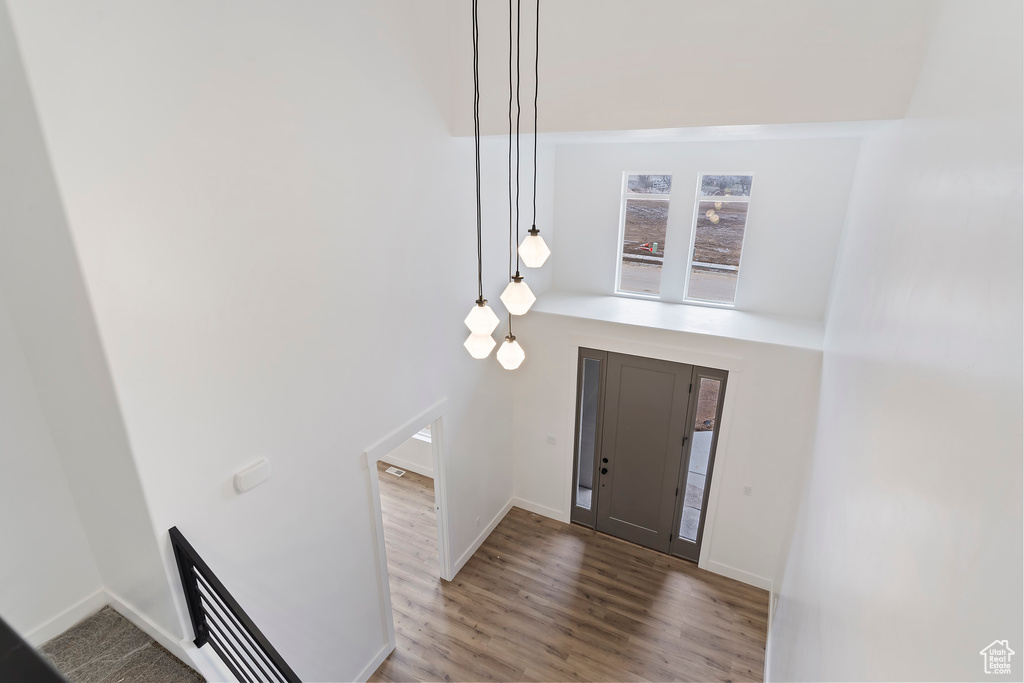 Entryway with hardwood / wood-style floors