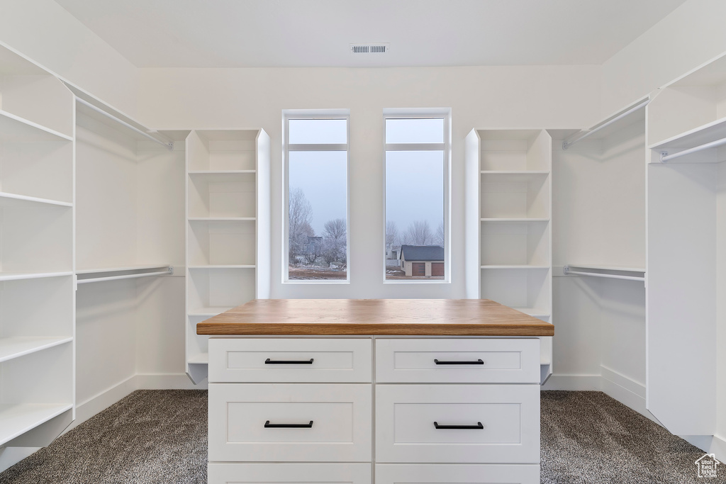 Spacious closet featuring dark carpet