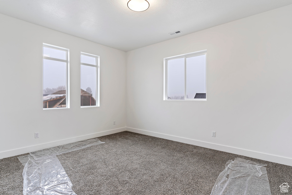 Unfurnished room featuring a healthy amount of sunlight and carpet