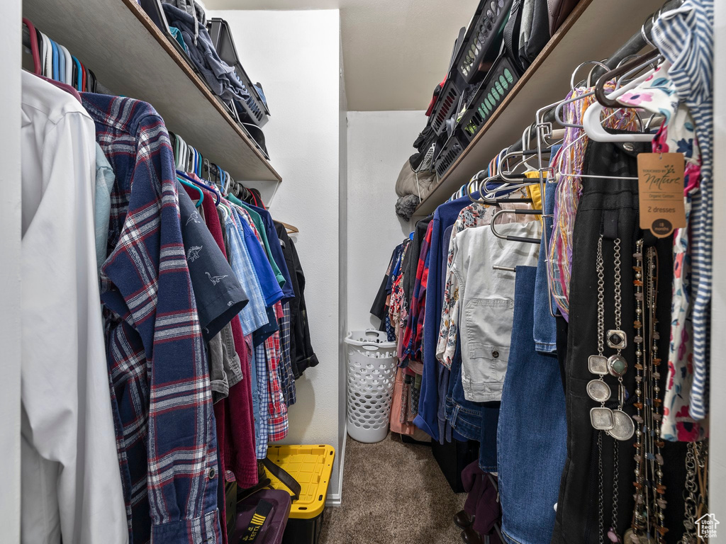 Spacious closet featuring carpet