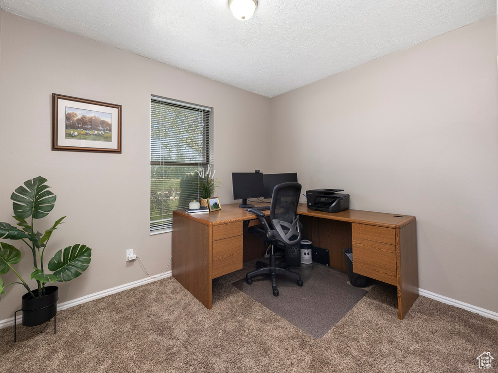 Office featuring a textured ceiling and carpet floors