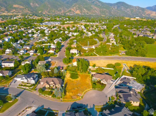 Drone / aerial view with a mountain view