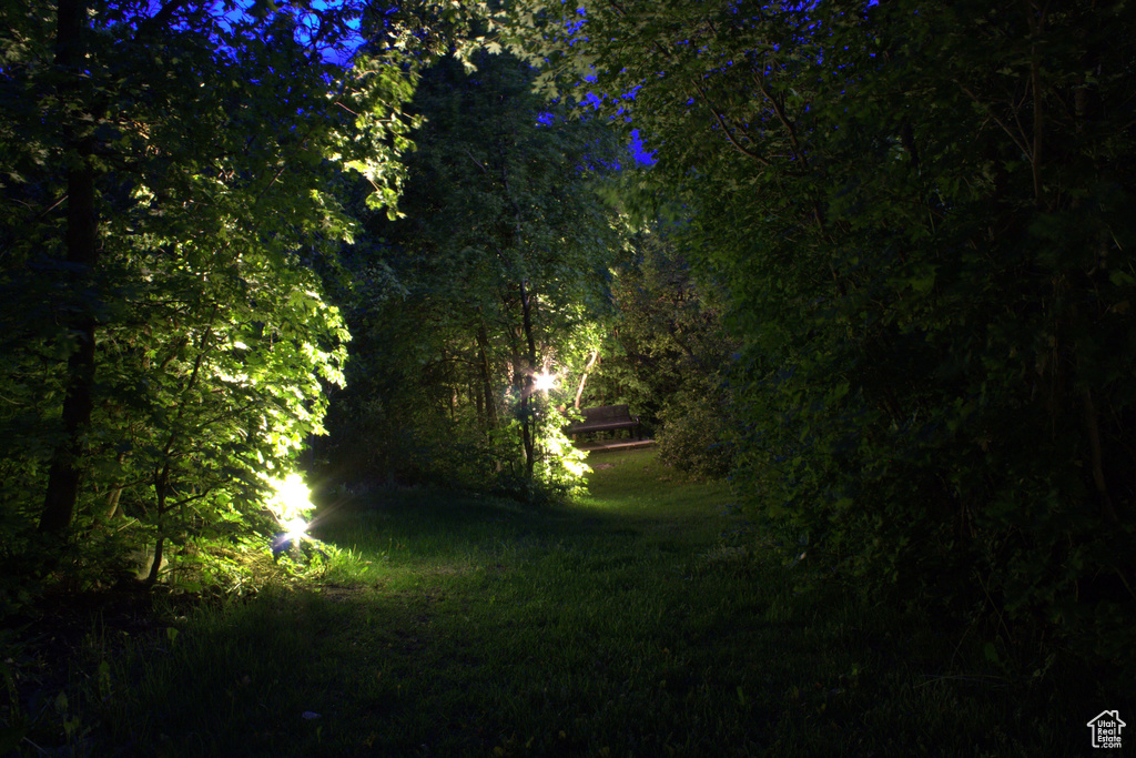 View of local wilderness