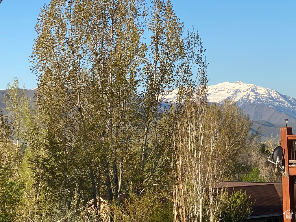 View of mountain background