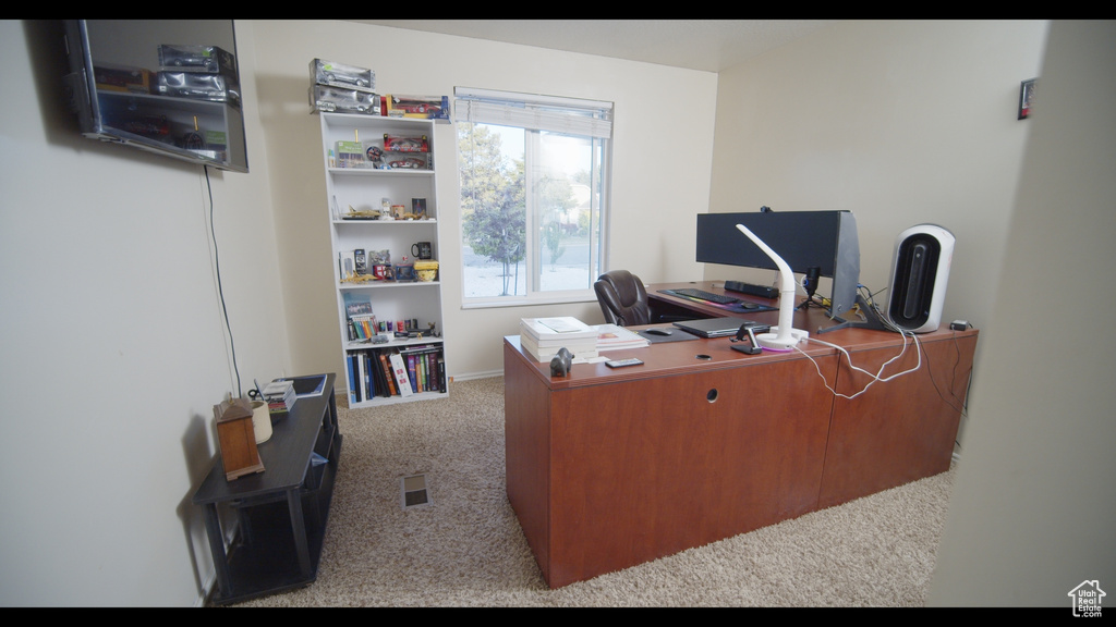 Office space with carpet floors