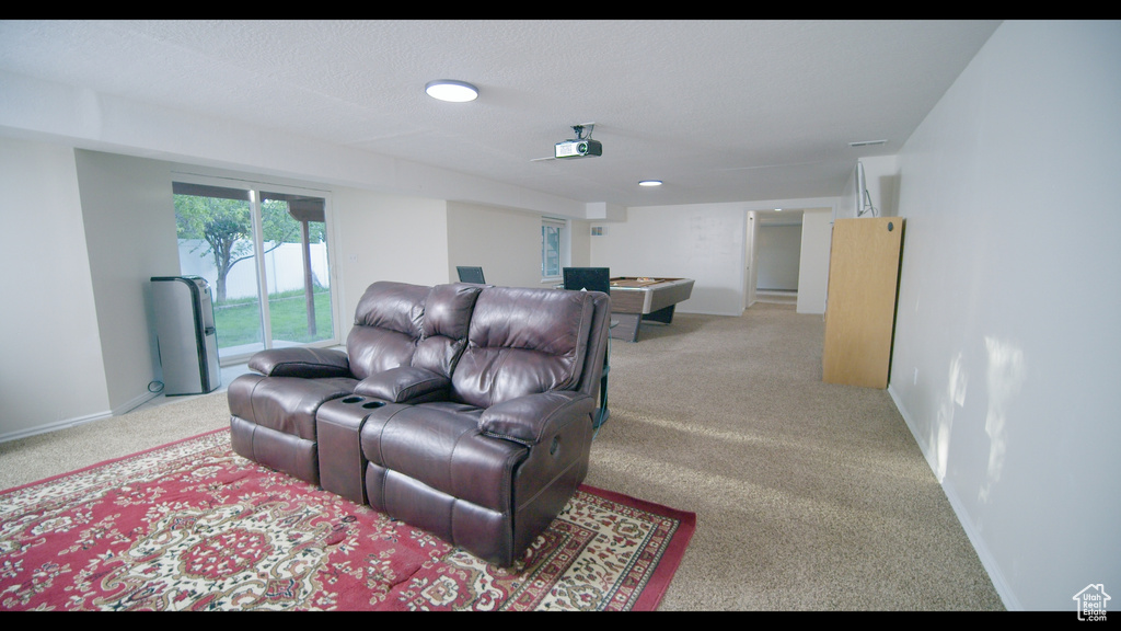 View of carpeted home theater room