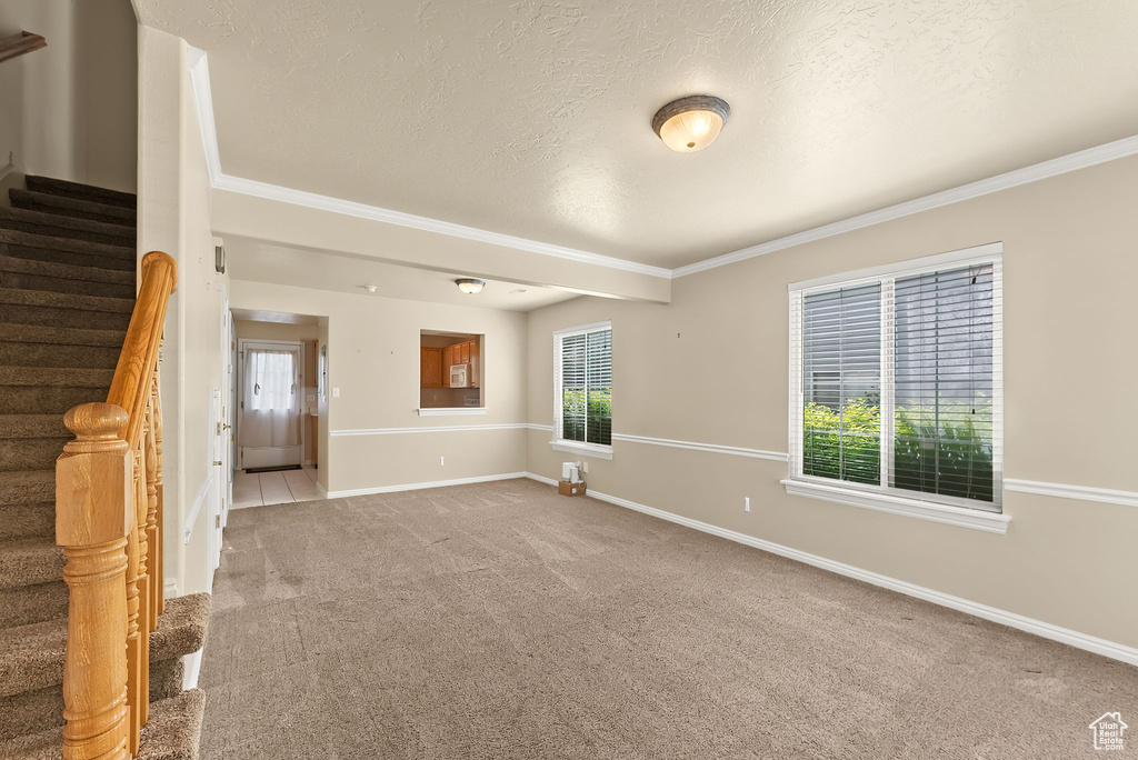 Spare room with carpet flooring, ornamental molding, and a textured ceiling