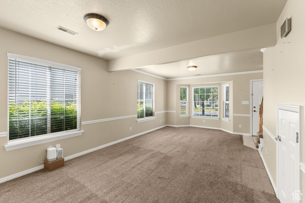 Carpeted spare room with ornamental molding and a textured ceiling