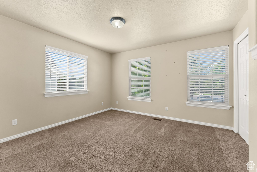 Unfurnished room with a textured ceiling, a wealth of natural light, and carpet flooring