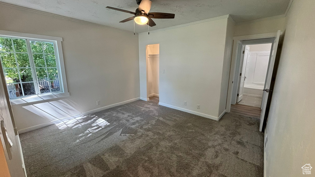 Unfurnished bedroom featuring a spacious closet, ceiling fan, dark carpet, and ornamental molding