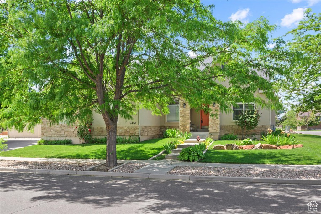 View of property hidden behind natural elements featuring a front lawn