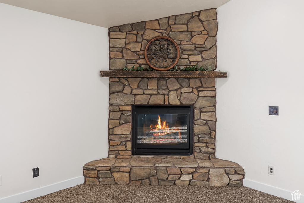 Details featuring carpet floors and a fireplace