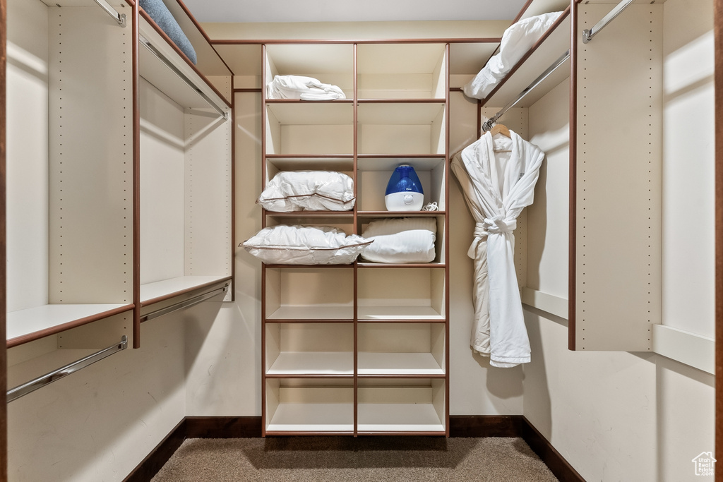 Walk in closet with carpet flooring