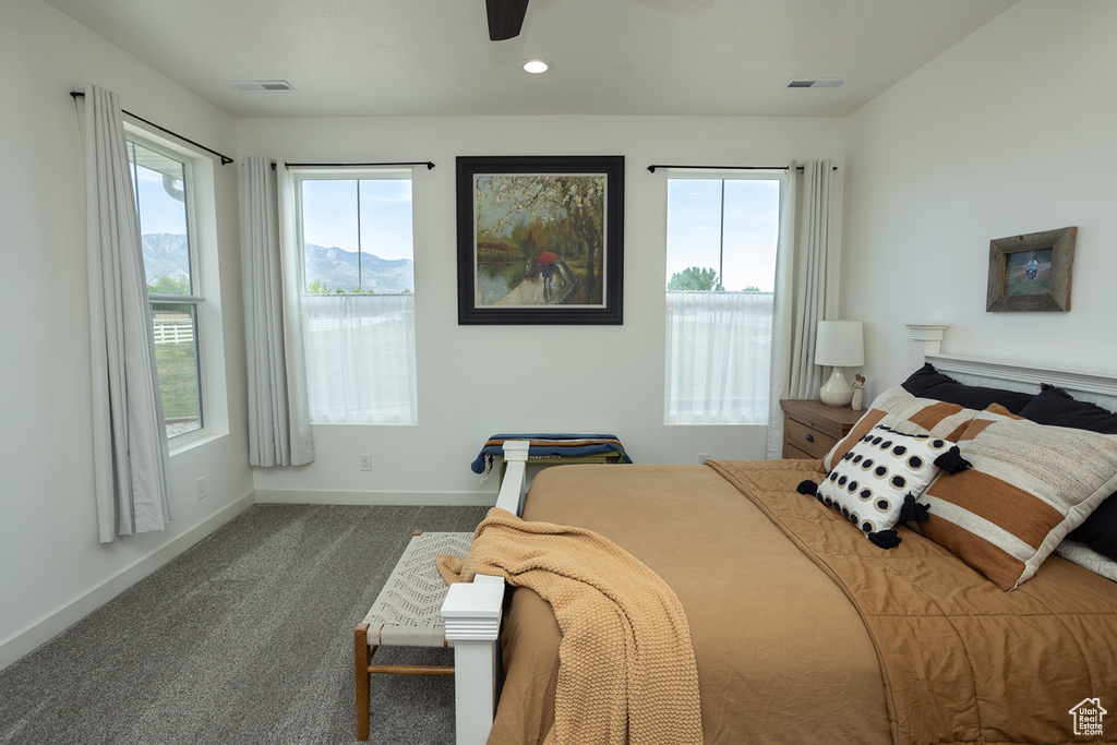 Carpeted bedroom with ceiling fan and multiple windows