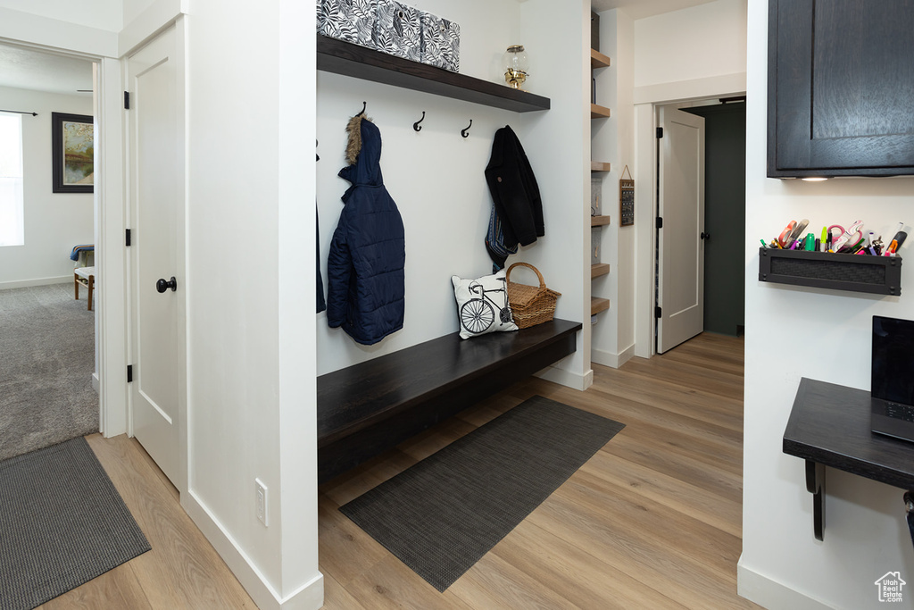 Mudroom featuring light carpet