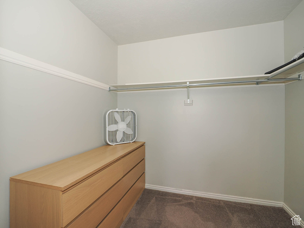 Spacious closet with dark carpet