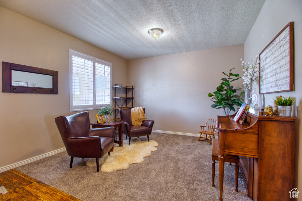 Living area featuring carpet flooring and a textured ceiling