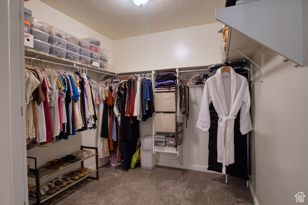 Walk in closet with carpet floors