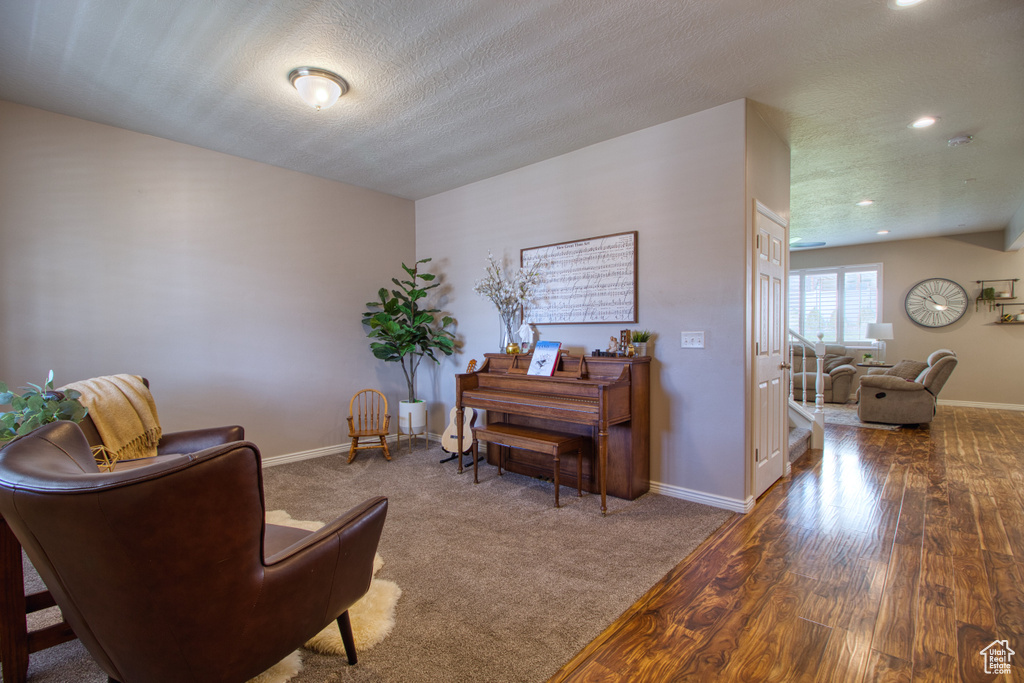 Sitting room featuring a textured ceiling and carpet floors