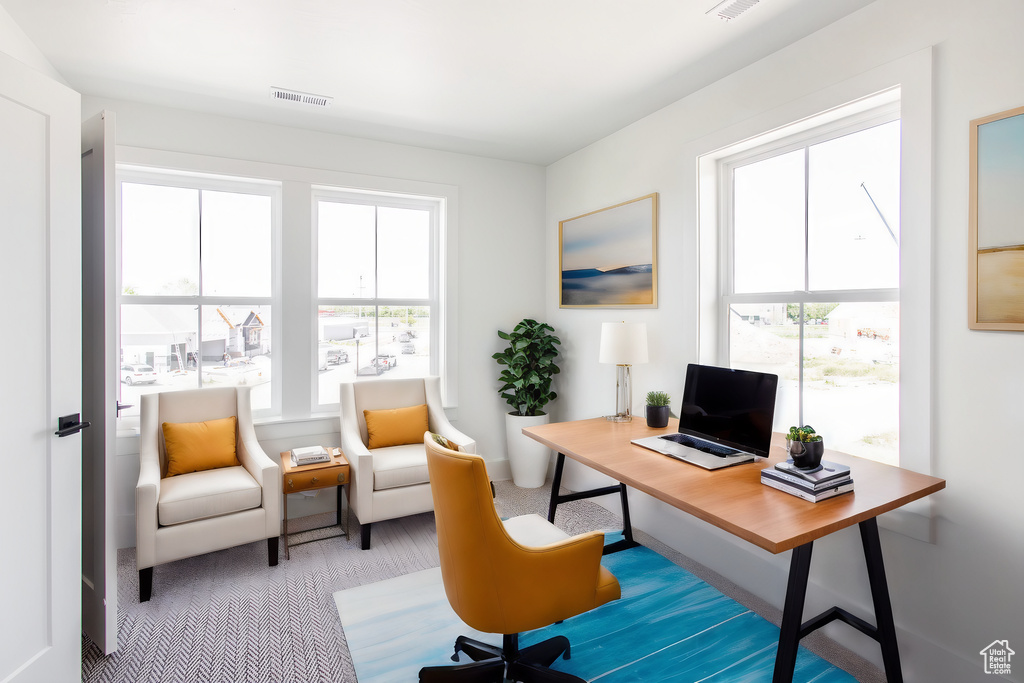 Home office with a healthy amount of sunlight and carpet flooring