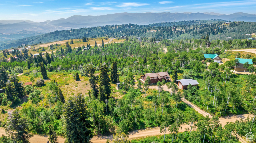 Drone / aerial view with a mountain view