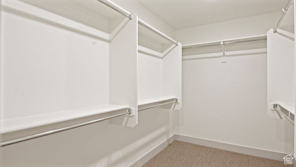 Spacious closet featuring carpet flooring