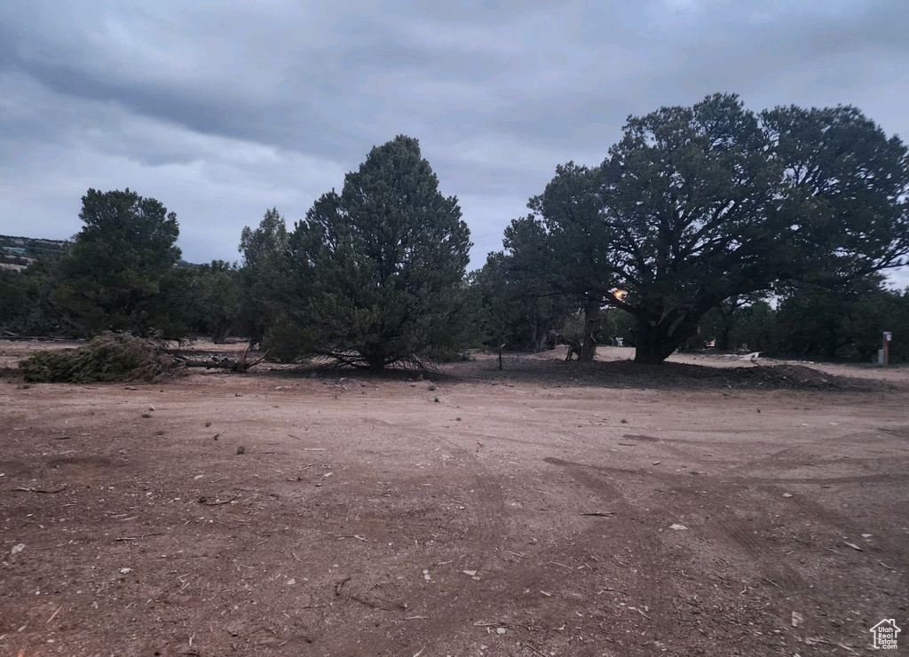 View of yard with a rural view