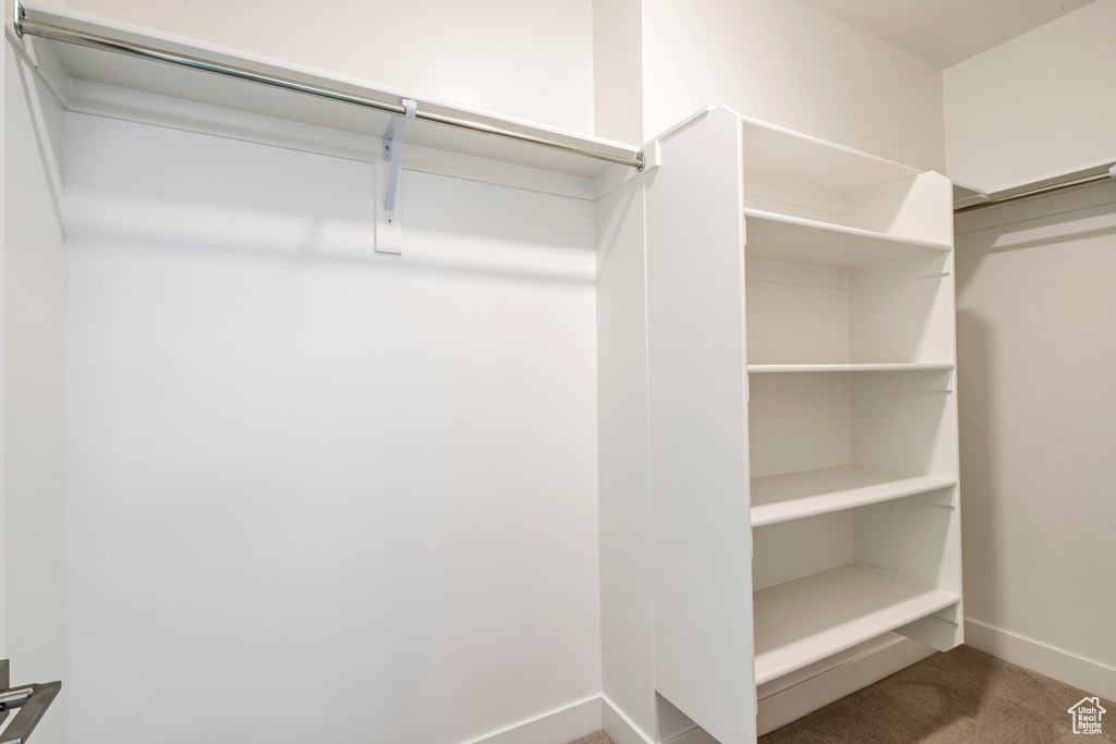 Spacious closet with carpet