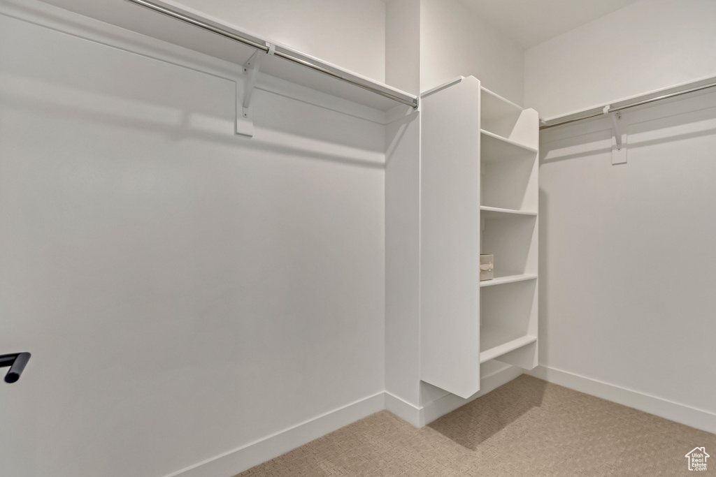 Spacious closet featuring light colored carpet