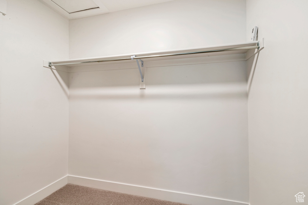 Spacious closet featuring carpet floors