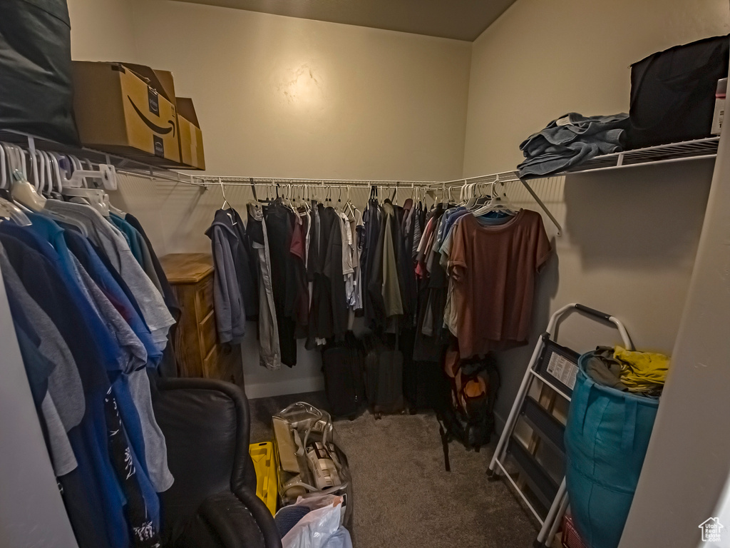 Spacious closet with carpet