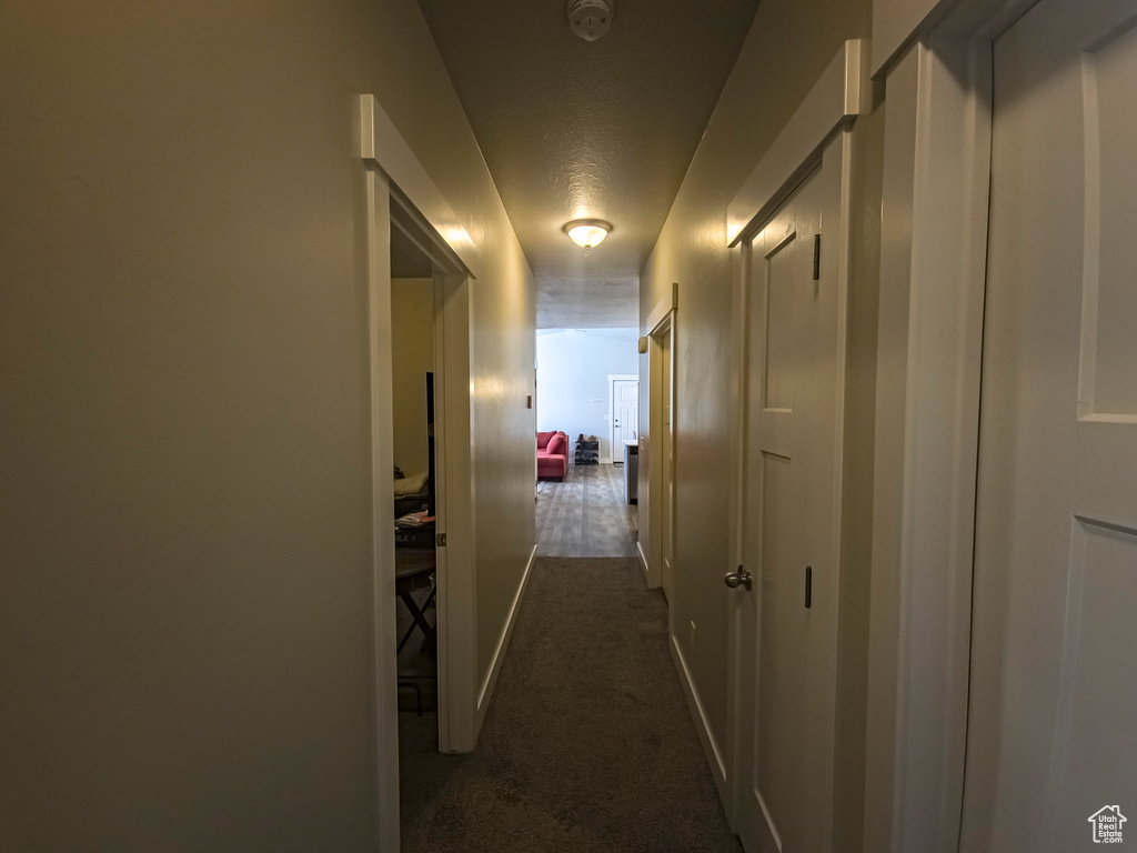 Corridor with dark colored carpet