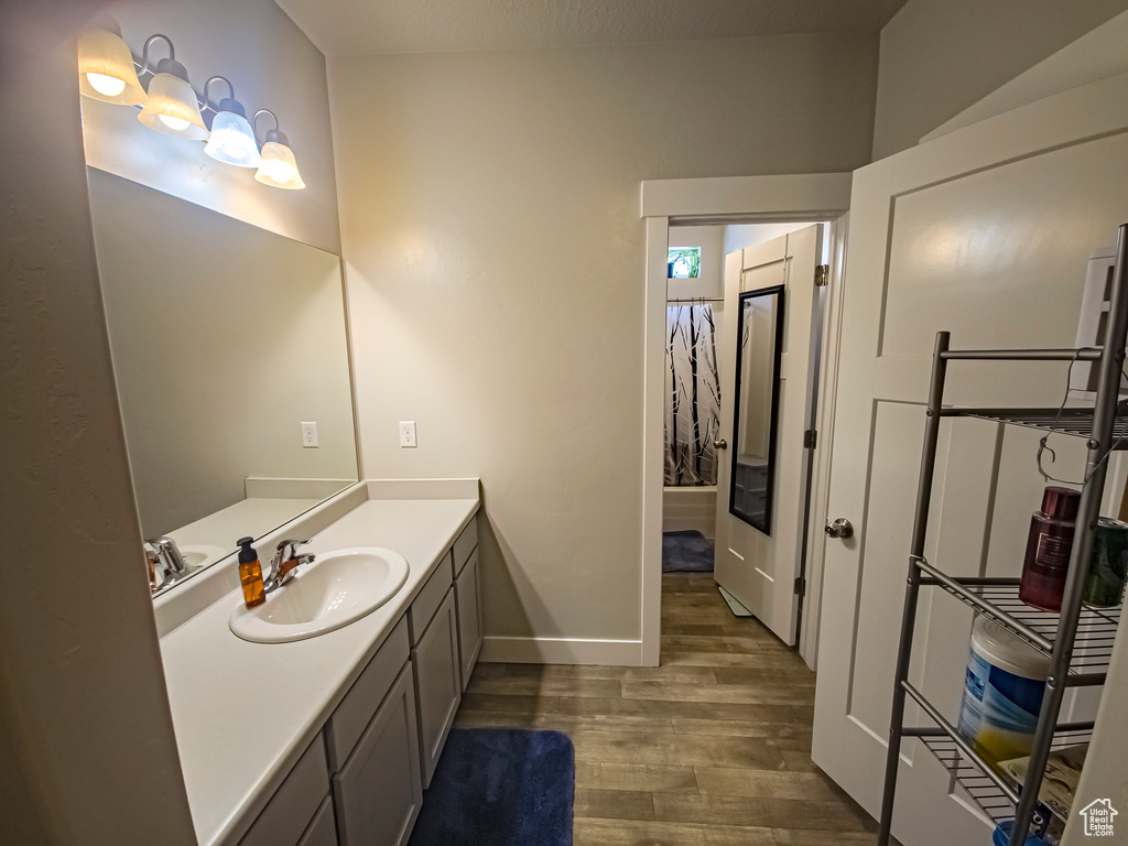 Bathroom with wood-type flooring and large vanity