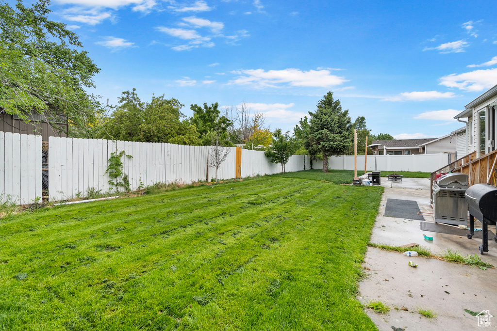 View of yard featuring a patio area