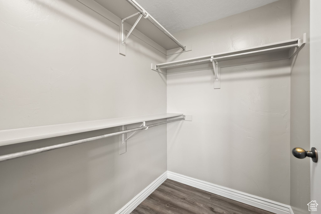 Walk in closet with hardwood / wood-style floors