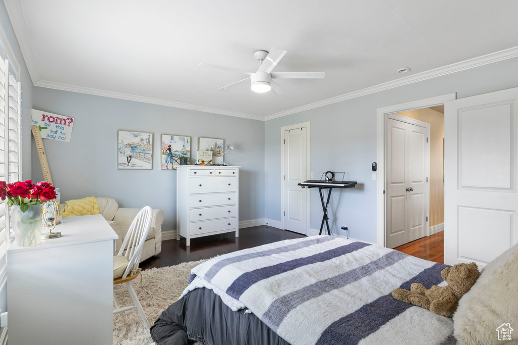 Bedroom with ornamental molding, dark hardwood / wood-style floors, a closet, and ceiling fan