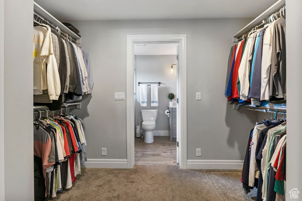 Walk in closet with carpet flooring