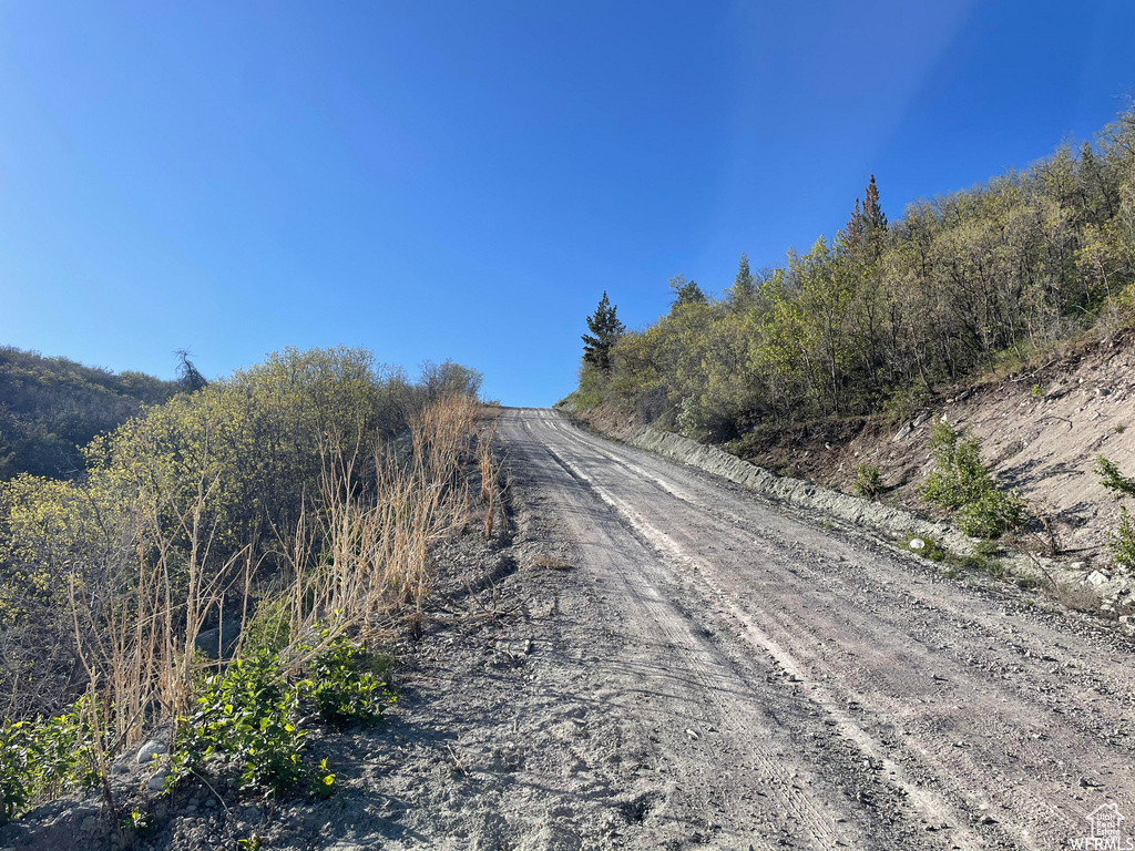 View of road