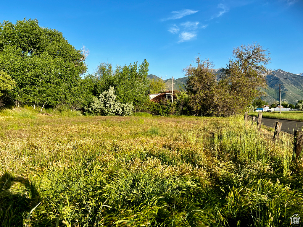 View of yard with a mountain view