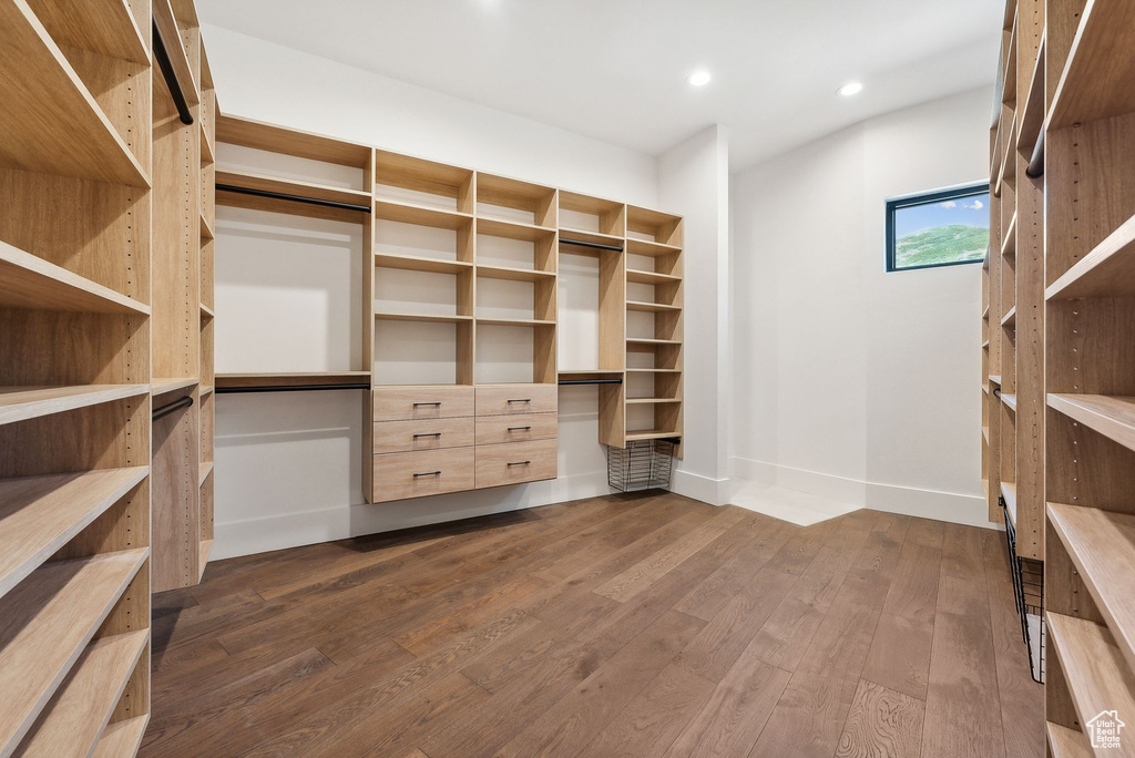 Walk in closet with dark hardwood / wood-style flooring