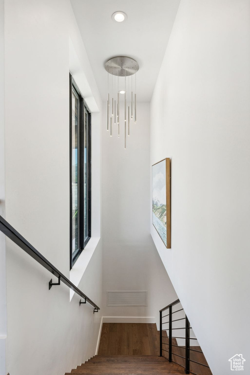 Stairs with hardwood / wood-style floors