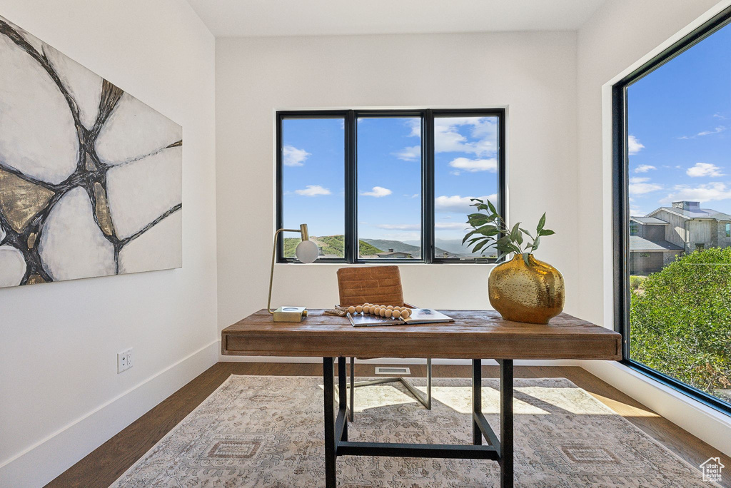 Office area featuring dark hardwood / wood-style flooring