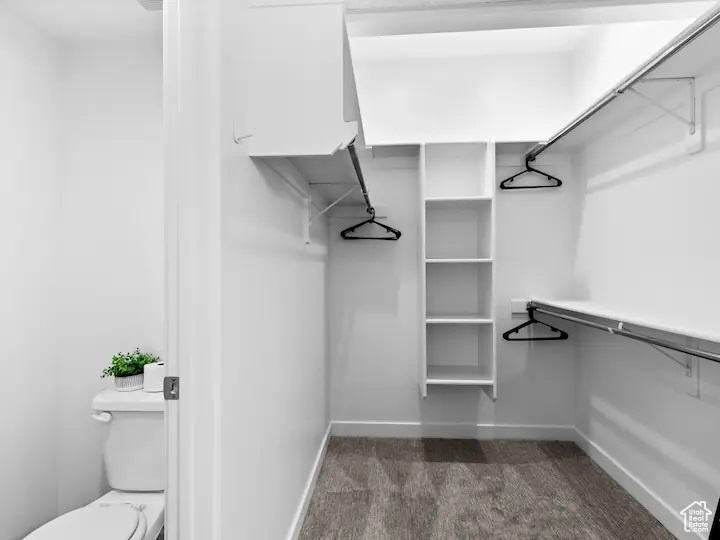 Spacious closet featuring dark carpet