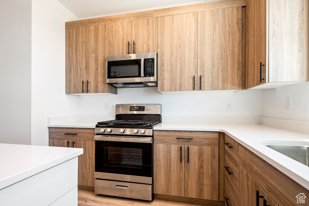 Kitchen with stainless steel appliances and light hardwood / wood-style floors