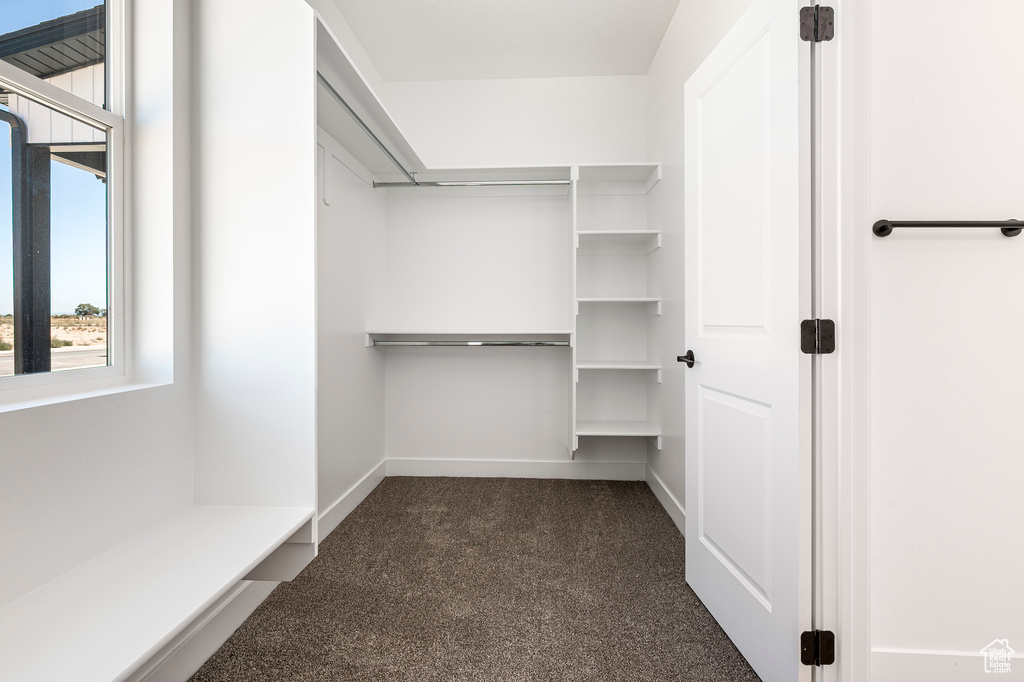 Spacious closet with dark carpet